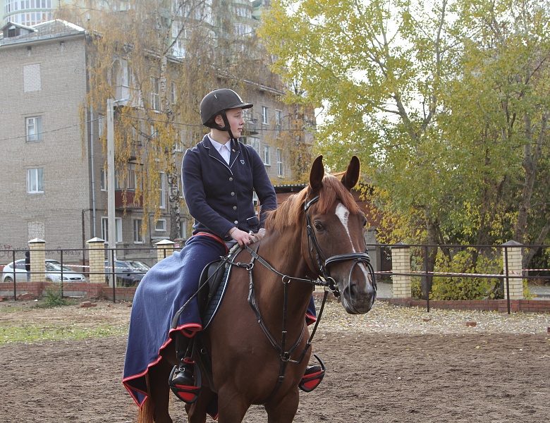 Результаты соревнований на кубок города Иванова по конному спорту