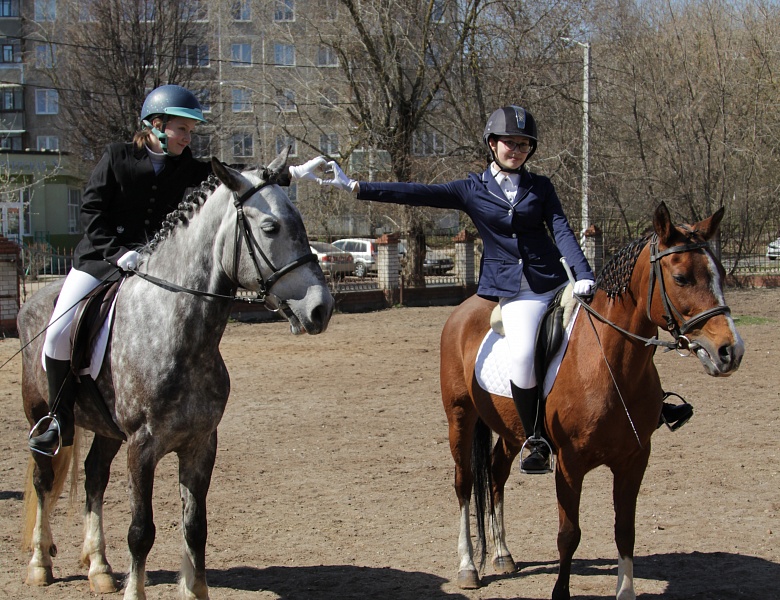 Первенство города Иванова по конному спорту