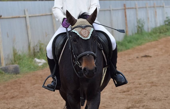 Соревнования «Золотая осень», посвящённые Дню учителя. г Шуя