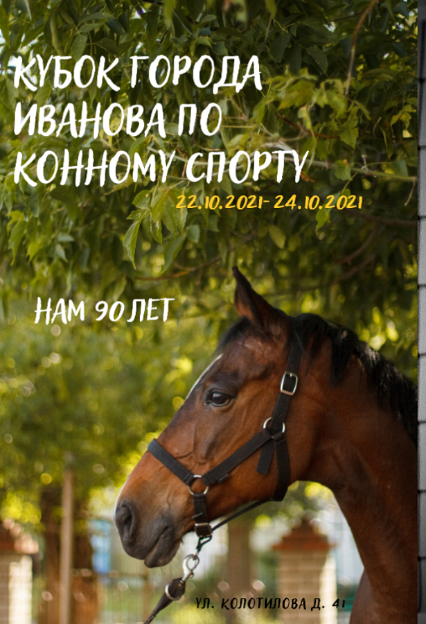 КУБОК ГОРОДА ИВАНОВА ПО КОННОМУ СПОРТУ. ЮБИЛЕЙ