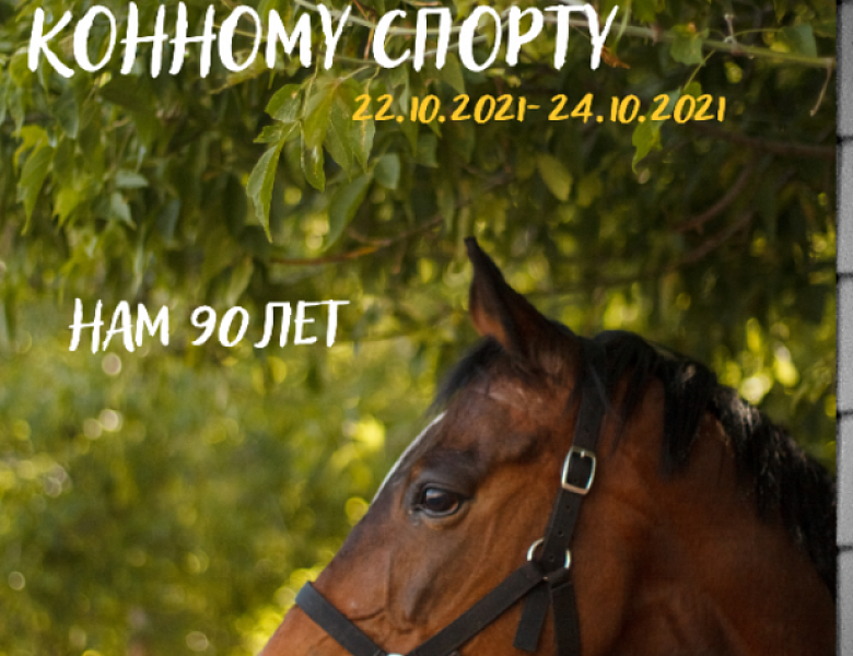 КУБОК ГОРОДА ИВАНОВА ПО КОННОМУ СПОРТУ. ЮБИЛЕЙ