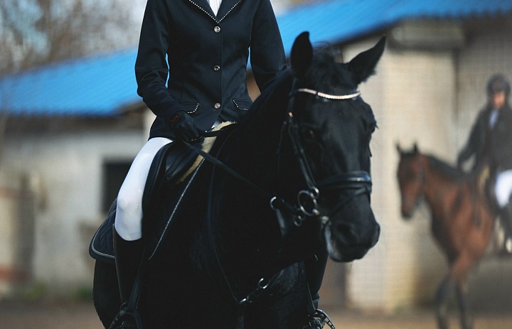 В Иванове проходит Кубок города по конному спорту