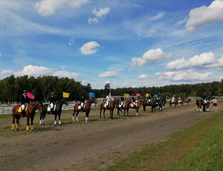 Чемпионат и Первенство Костромской области по конному спорту. Этап "кубка MAXIMA PARK" 